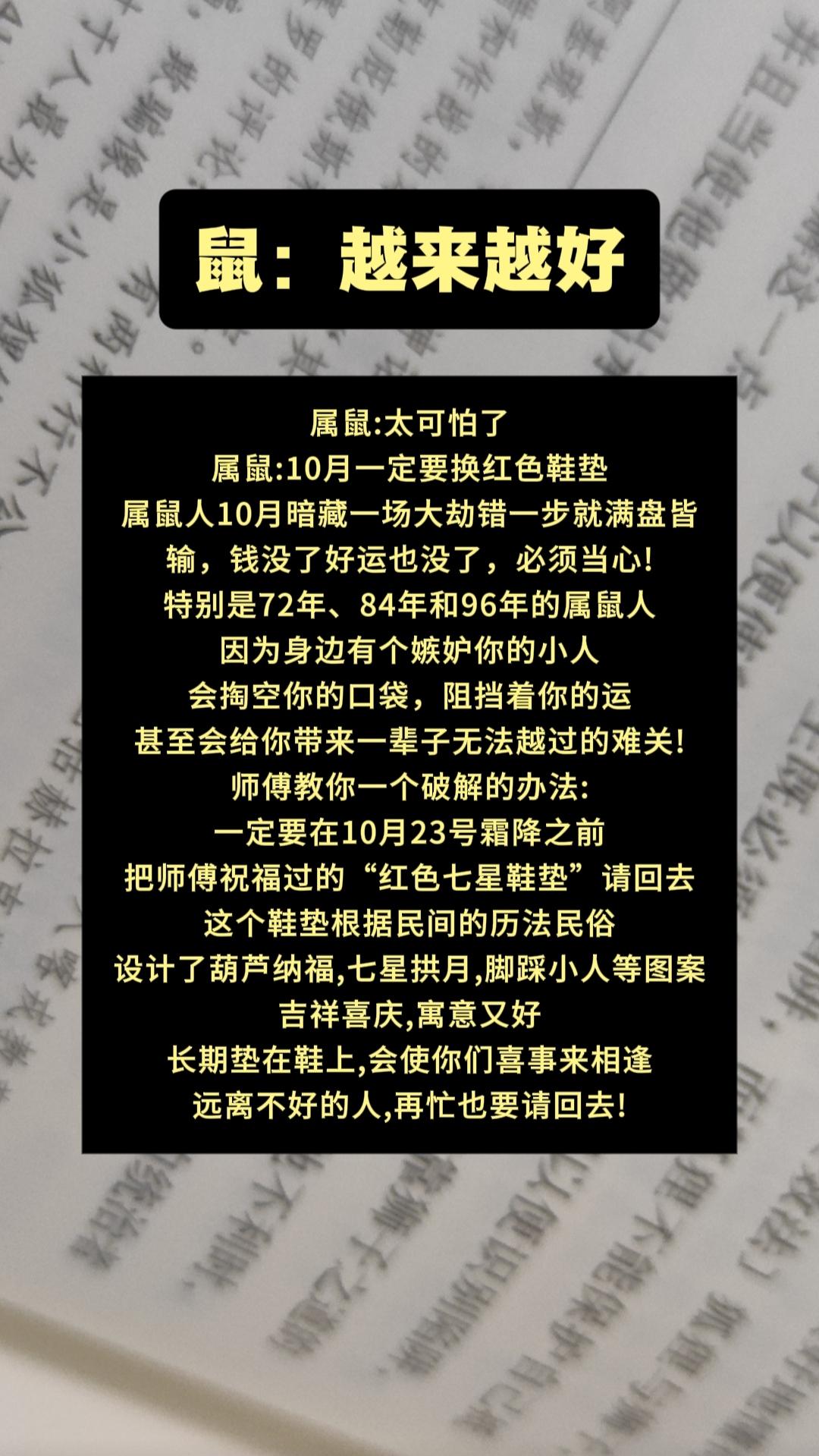 #鼠 #属鼠 #生肖鼠