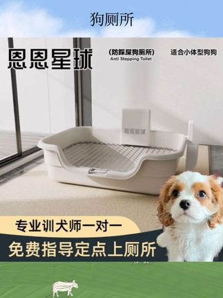 狗厕所#狗砂盆#狗厕所#宠物用品 #好物推荐 #好物分享