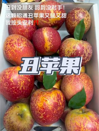 昭通丑苹果,别看皮上有点“小雀斑”,咬一口全是糖心甜!日照足,温差大,自然长熟不催熟。丑是丑了点,但果肉脆嫩,汁水多到飙,甜得实实在在。咱吃的是味道,不是颜值。昭通丑苹果,丑得有道理,甜得够地道!#丑苹果 #又脆又甜 #新鲜应季水果 #口感特别好#现摘现发新鲜到家