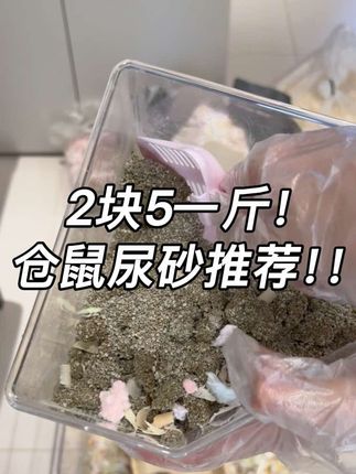 #仓鼠 #金丝熊 仓鼠尿砂推荐!求你们去买!