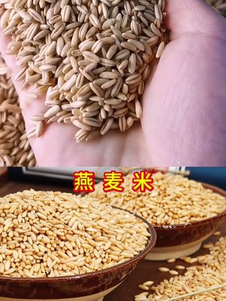 #燕麦米 #营养健康 #三农 #粗粮
