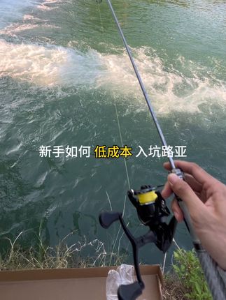 单杆只需 59,便宜耐造,实心竿稍随便造,最大钓重 16 斤#路亚 #钓鱼 #新手路亚装备 #路亚套装