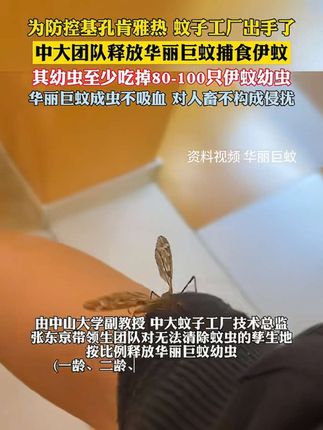 #佛山灭蚊“黑科技”上线 防控基孔肯雅热中大蚊子工厂出手了,佛山释放不咬人蚊子捕食咬人蚊子镜头暴露明星真实人品,规矩和教养不是人人都有 #胡歌 #中国人的规矩 #好书分享#娱乐圈