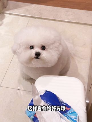 小花花的每一天