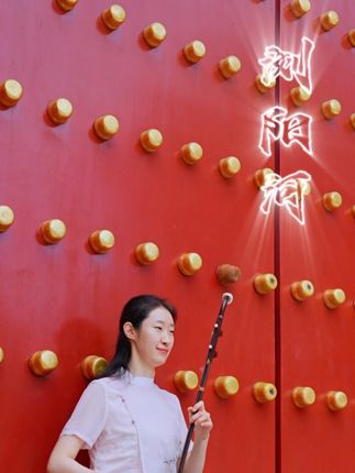 浏阳河 #二胡 #民族乐器 #二胡演奏