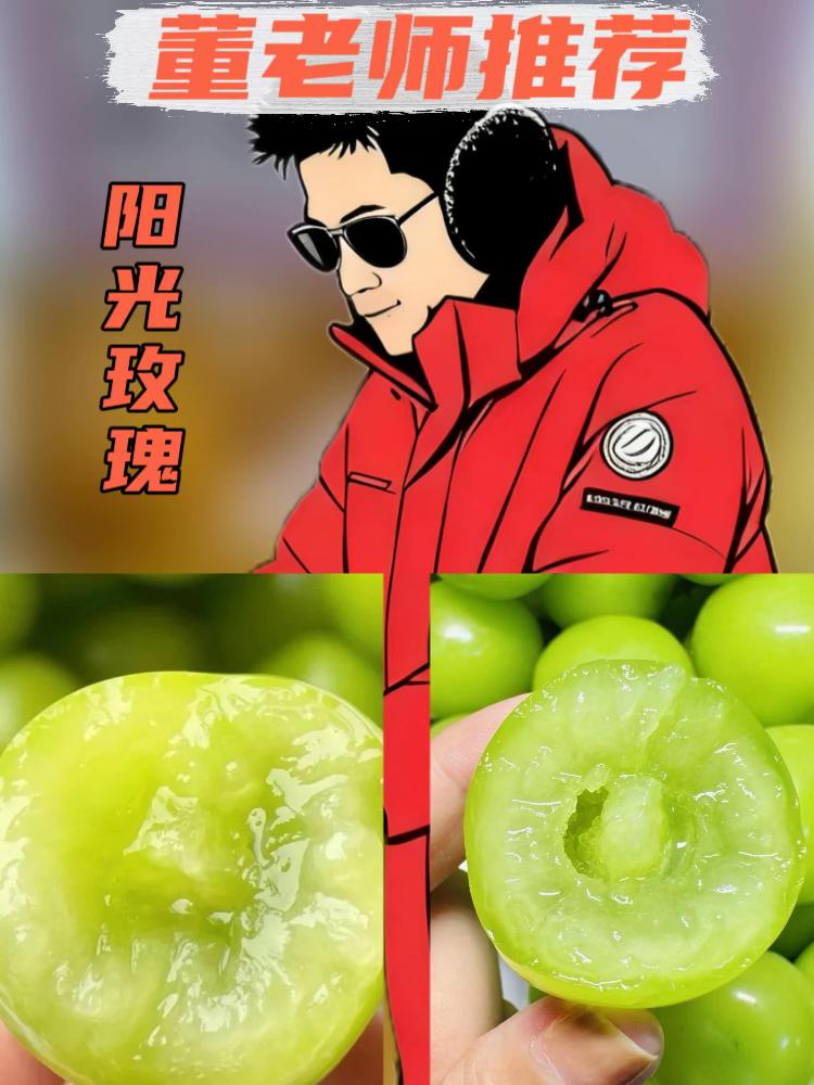 在学校坚决不能碰的4个底线,有孩子的父母一定要告诉孩子#家长必读 #亲子教育 #宝妈 #董老师推荐 #董老师