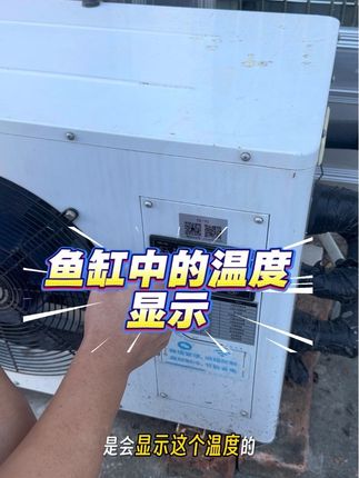 鱼缸中的温度显示 扇形鱼缸内侧贴温度计#强烈推荐 #鱼缸温度计 #鱼缸温度 #鱼缸温度高怎么办 #友哥教你养海鲜