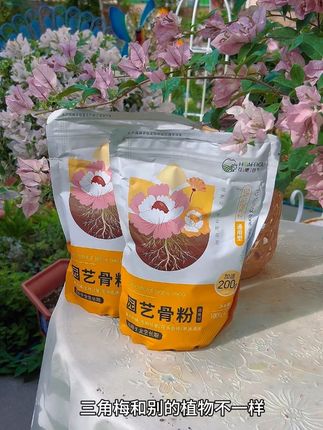 九、十月份是三角梅的爆花期,想要三角梅开花多,花期长,盆土中一定不能缺少磷肥!这个阶段要及时给它们追施骨粉,保证花期的营养需求!#养花小知识 #三角梅 #爱生活爱养花 #养花小技巧