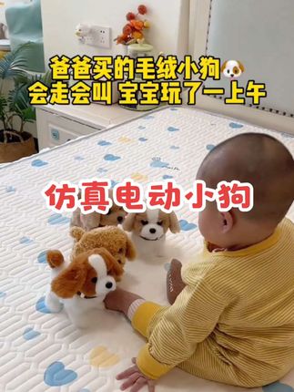 爸爸买的#电动仿真小狗 ,会跑会叫会摇尾巴,还会点头,真的太可爱了,关键还不掉毛,宝宝爱不释手,走哪都要带着!#儿童玩具 #宝宝玩具 #母婴好物