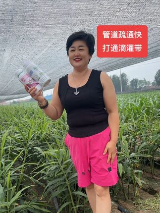 疏通滴灌带,中迅大品牌#抖音助农 #新农人计划 #昌邑大姜 #仓街大丰收农资