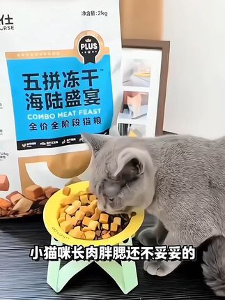 【征服挑食猫】卫仕五拼冻干猫粮无谷全价全阶营养护胃美毛萌宠好物#冻干猫粮 #卫仕猫粮 #萌宠好物 #全价猫粮 #猫咪美毛
