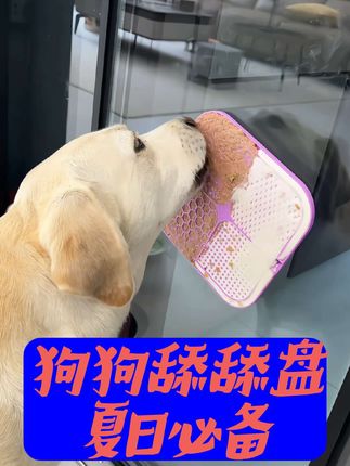 夏日太热不想出去遛狗,就给它准备个硅胶舔舔盘,冰冻两小时,贴墙上或地上,让它自己舔去吧,消耗它精力还能缓解焦虑情绪。#狗狗舔舔盘 #硅胶舔舔盘 #狗狗解暑小妙招 #爱宠吃喝玩乐 #喵小李