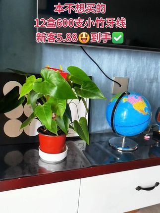 #小竹牙线 #牙线 #牙线棒 #便宜好物 #好物推荐🔥
