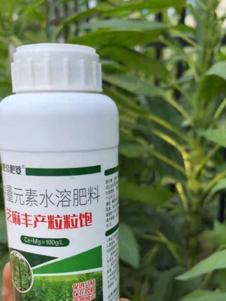 想要芝麻高产就用#芝麻粒粒饱满 #农业种植 #三农 #新农人计划 #服务三农支持三农