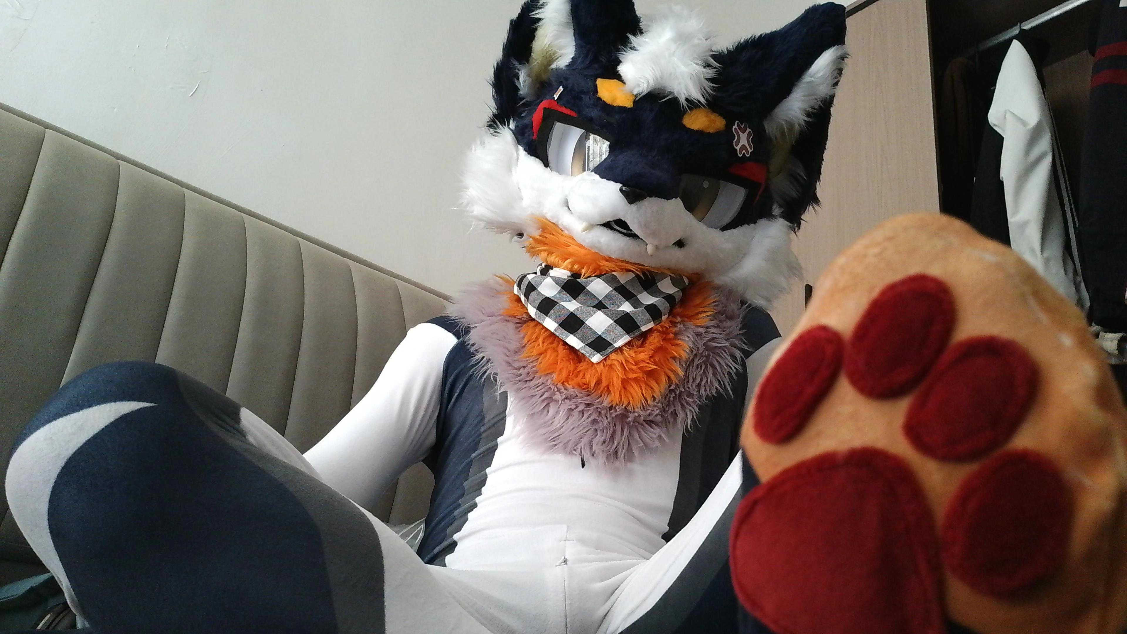 好耶,初壹zentai形态登场。好耶,初壹zentai形态登场#furry #兽装