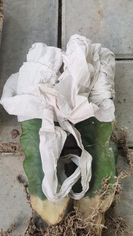 包装好物流快,值得购买。售后无忧,卖家态度好。#我在抖音买买买