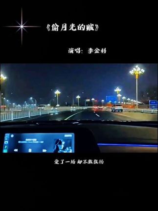 明明你很爱他 不肯放,偏偏你是月光 我珍藏 #偷月光的贼