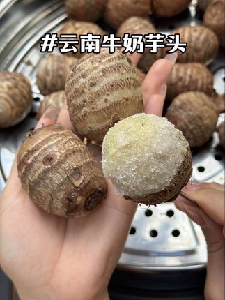 云南头茬牛奶小芋头上市了~口感细腻、软糯香甜!#优质农产品 #软糯香甜 #牛奶芋头 #云南牛奶毛芋头 #芋头