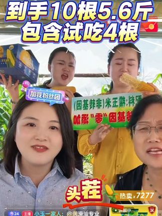 25年头茬粘玉米,软糯香甜能拉丝#小玉一家人 #玉米 #强烈推荐