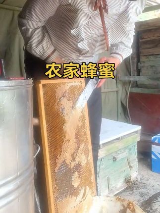 #蜂蜜现场实拍#纯天然蜂蜜自产自销 #抖音 #好东西一起分享 #质量第一诚信为本