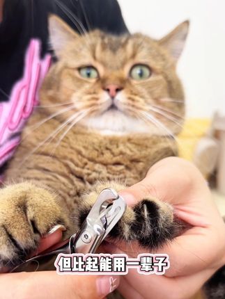 指甲剪还得是霍曼,不得不说贵有贵的道理!#萌宠好物 #养猫新手 #宠物指甲剪 #猫咪指甲剪