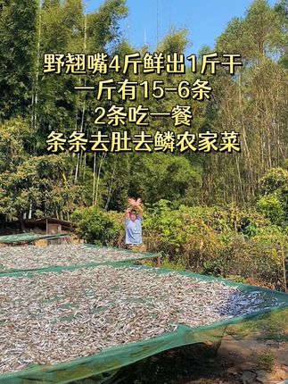 天天吃猪肉青菜吃腻了,换换农家自制野翘嘴鱼尝尝鲜,条条手工去肚去鳞农家菜真的很好吃 #翘嘴鱼 #鱼干 #农村美食优质农产品