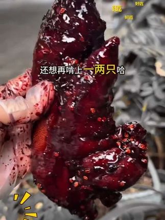 景谷红肉脚爪爪 猪尾巴云南特产普洱景谷特产顺丰包邮#上热门話题🔥🔥🔥 #抖音记录开心一刻 #每天一笑娱乐一下 #下午好老铁们