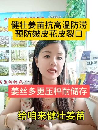 小培土专用硫肥 #大姜种植 #小培土 #硫尔佳 ,小培土必备硫肥,20元一袋,一亩地两到三袋