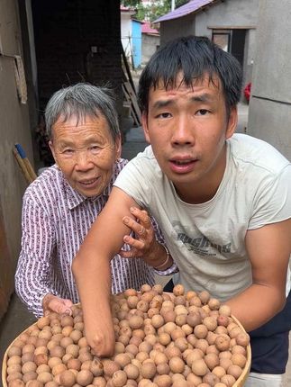 #桂圆 #超便宜超划算 #桂圆干 #桂圆肉 #好吃不贵经济实惠