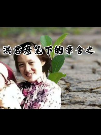 洪君彦笔下的章含之