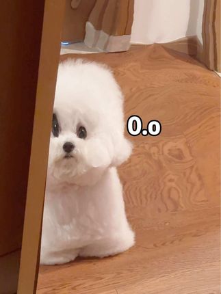 小花花的每一天