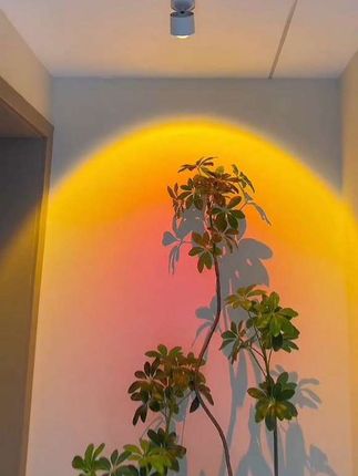 日不落射灯 #房间软装氛围感 #新家装修 #现代风格设计 #装饰灯具 #每日分享