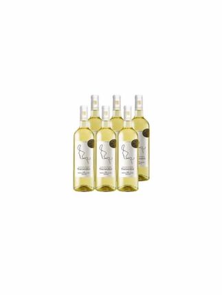 雅兰朵布兰卡半甜白葡萄酒750ml*6瓶14%VOL果味炸弹清甜爽口#好酒推荐