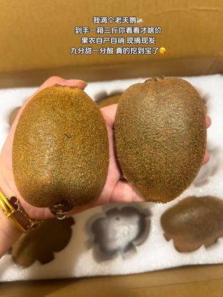 我滴个老天鹅啊!我又挖到宝了,到手一箱3斤你看看才啥价,果农自产自销,现摘现发,每个个头都很大,汁水超多,满满的维C,放软了巨甜,趁着现在划算赶紧闭眼去冲吧#猕猴桃 #新鲜采摘 #优质农产品 #超好吃 #超便宜超划算
