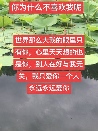 #情侣日常