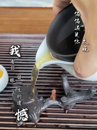 树桩紫砂茶滤,静静滤着茶汤。像那句“遇见太晚”的怅然,终究沉在茶底。人生如戏,权衡间,不如守这杯清宁,做自己的主角。