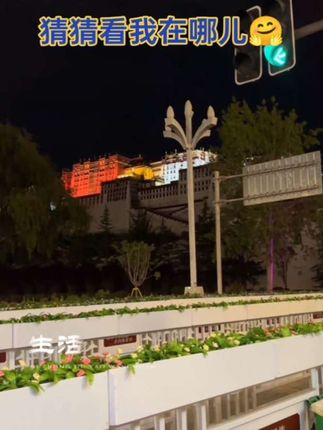 #上热门 #夜幕下的布达拉宫#夜景