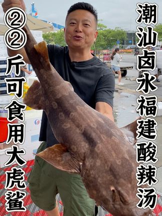 琼斯爱生活