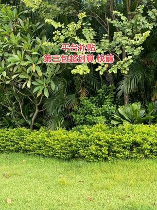 #心相印抽纸推荐