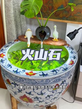 想要鱼缸水质干净,少不了一款底砂,火山石可以培菌净化水质,还能分解鱼便杂质!#火山石 #轻松养鱼