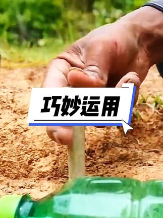 小伙通过自己的巧手设计,太厉害了 #野外户外 #户外 #大自然