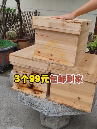 别再买100选3个的蜂箱了,现在3个99元包邮到家!尺寸49✖️30✖️26cm,是标准七框箱!#99元3个 #七框蜂箱 #七框标准蜂箱 #中蜂箱