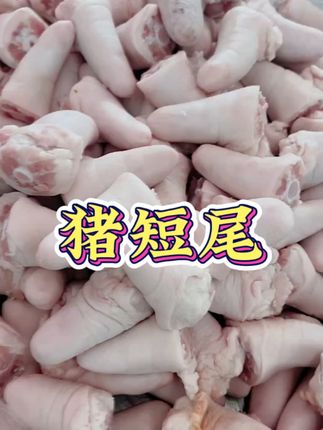 新鲜猪尾巴,用来卤,炒,红烧,炖汤,烧烤都好吃,软糯Q弹,喜欢吃的朋友千万别错过#猪尾巴 #猪短尾