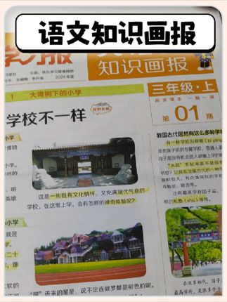 #暑假预习 #课外阅读 用#大语文 画报,孩子知识量暴涨#小学语文 #开学必备