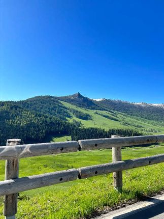 #杜克环游世界 #杜克和一哥 #孟加拉的故事 #交换世界计划 #杜克