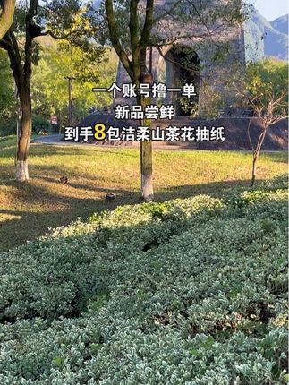 哇噻,太划算了吧!!洁柔这价到手8大包抽纸你们看看才啥价呀?每包都很瓷实,还是巨香巨好闻的山茶花香!!买纸巾还🉐是大品牌,不仅包装好看,品质也是杠杠的!!姐妹们趁划算赶紧冲冲!!#薅羊毛的快乐 #生活用纸 #洁柔 #纸巾 #好用的大包纸巾推荐
