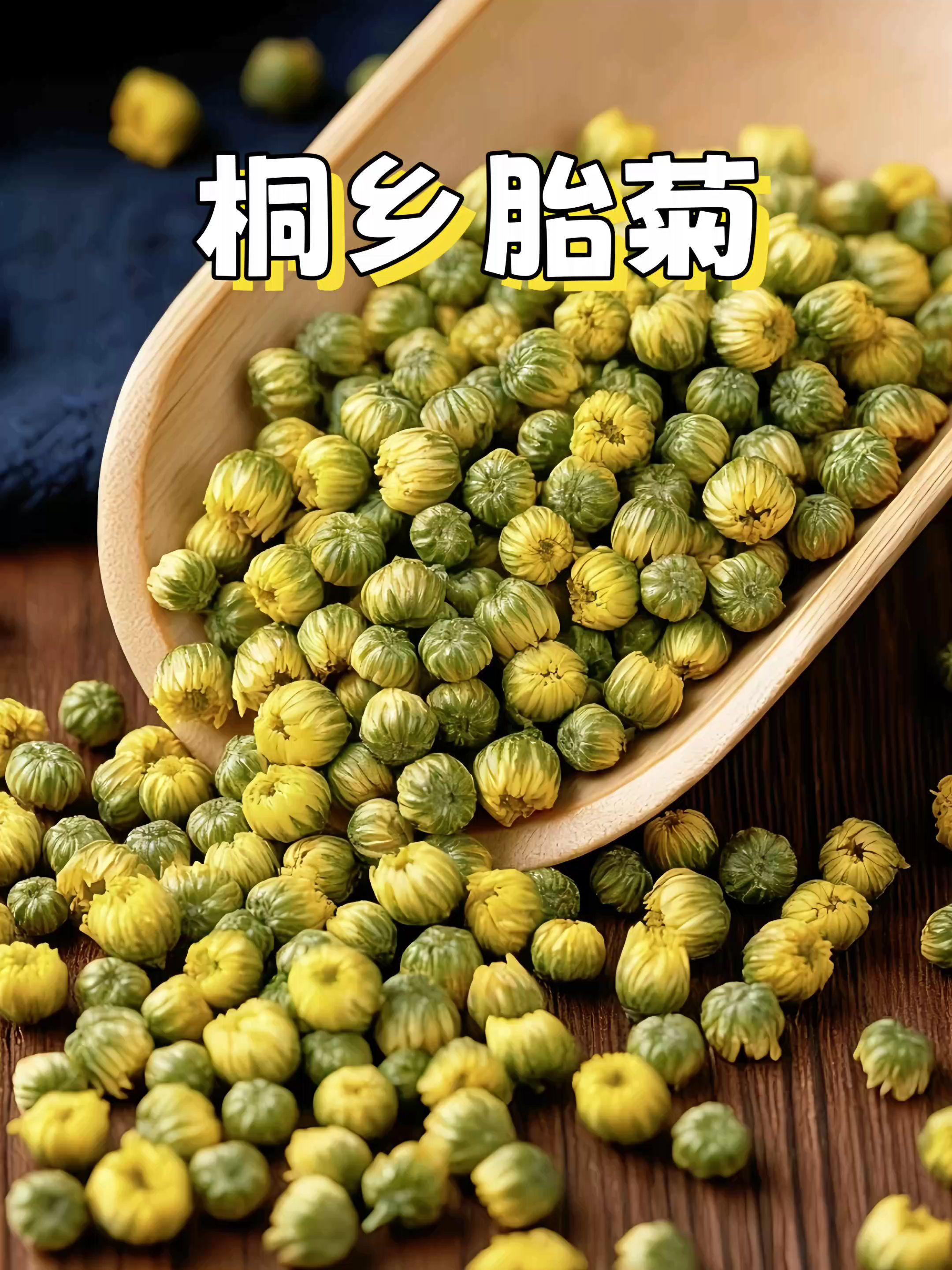胎菊花茶。#桐乡胎菊 #胎菊 #菊花 #好物推荐🔥 @抖音小助手