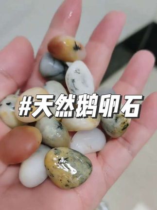 天然雨花石鹅卵石鱼缸造景园艺铺路石子五彩石鹅软石卵石彩色石#鹅卵石 #雨花石