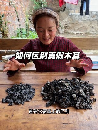 今天给大家分享一个快速分辨真假木耳的小技巧,看看自己平时都踩过坑吗?#如何分辨真假#生活小技巧 #正宗椴木木耳