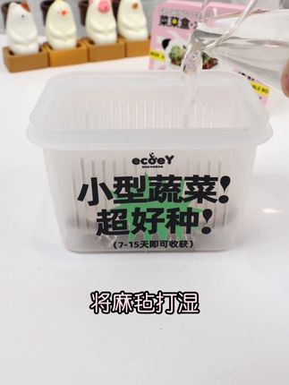 一起来种菜吧!八款水培芽苗任你选择,你看芽苗的根系还很发达。步骤简单,放入麻毡和种子。只需要水就可以让植物发芽,只要一周多就可以吃上好吃的豆芽菜了,再也不愁没有菜吃了。#今日份的好物分享 #强烈推荐 #便宜好物